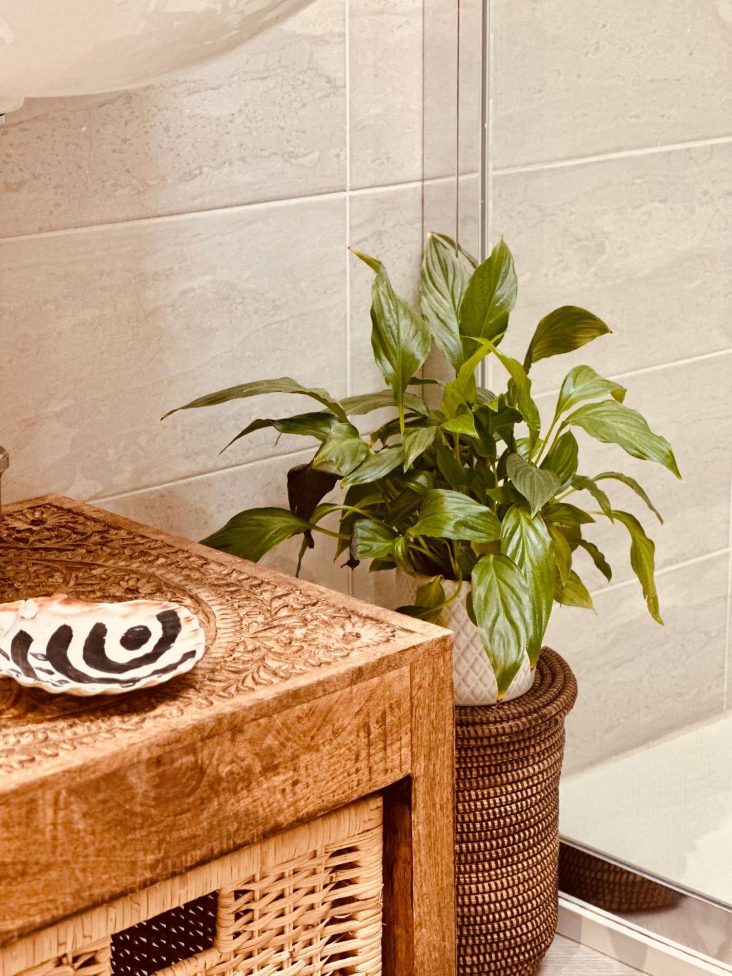 Appartamento Casa Mira Luxury Sea House Fco Airport Fiumicino Esterno foto